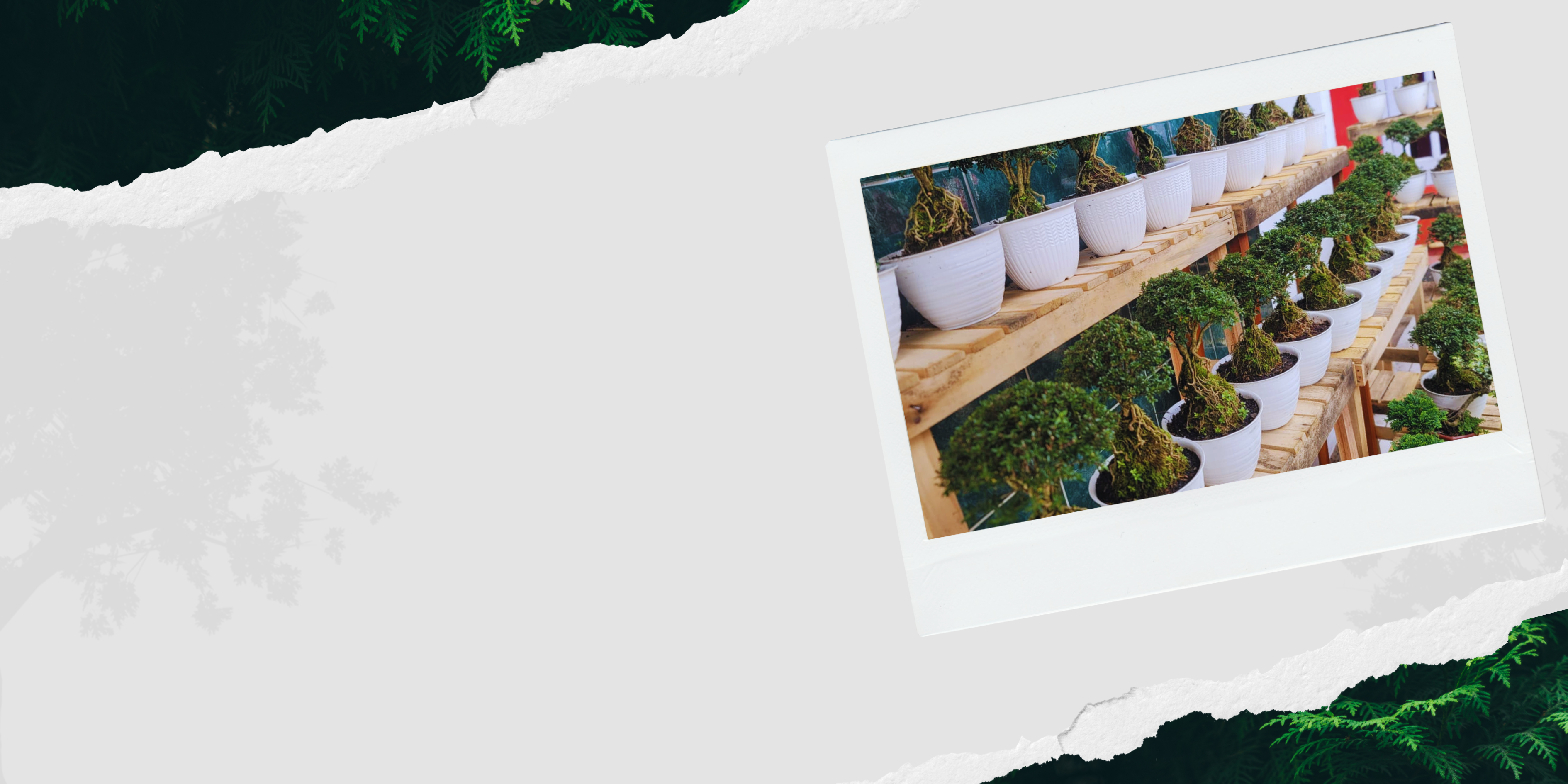 Tentang GreenHouse